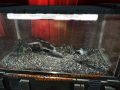 MetroLL 2013-05-25 22-56-55-76.png